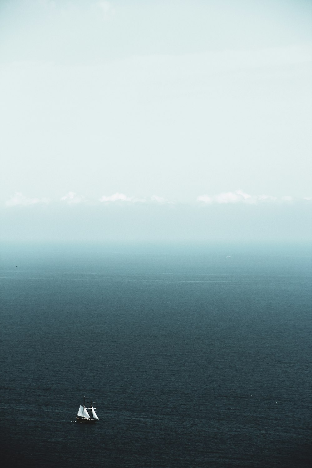 white sailboats on calm sea