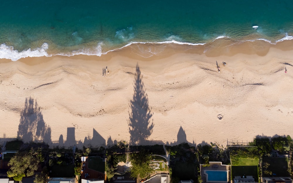 aerial photography of shore