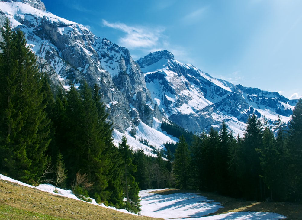 mountain covered with snow during daytime