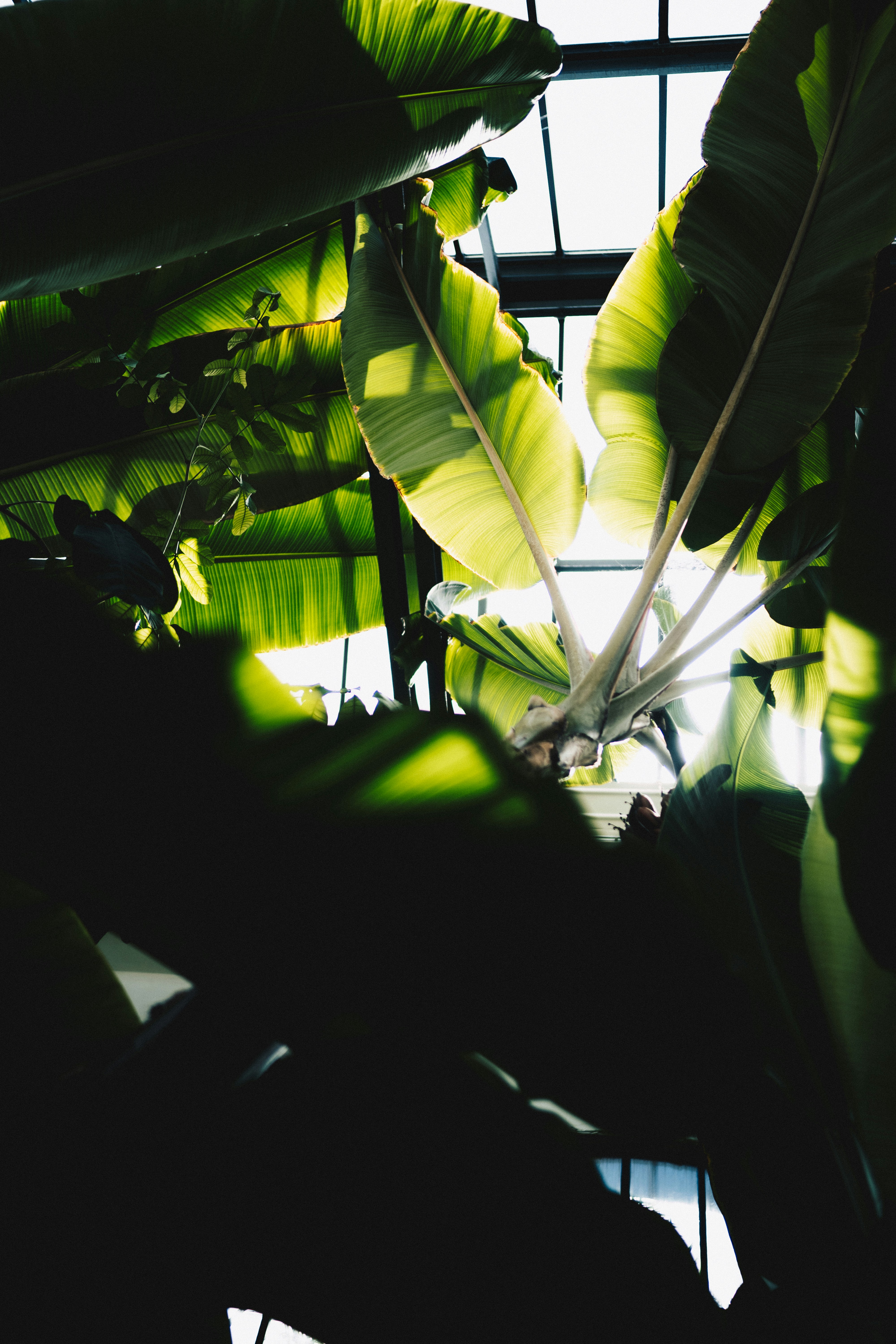 Photo by ballaschottner