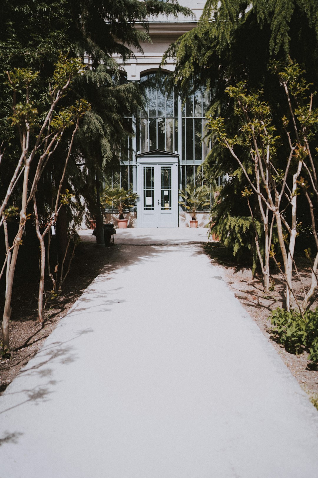 building with pathway and trees