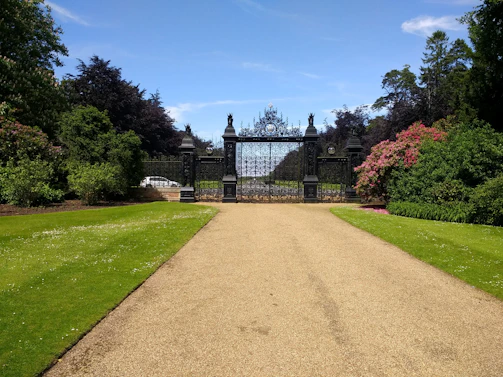 A welcoming garden gate surrounded by blooming flowers under a clear sky.