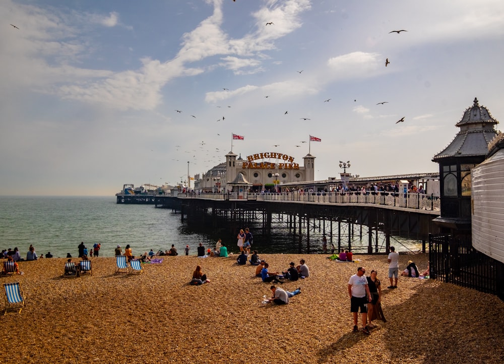 people near seashore viewing sea