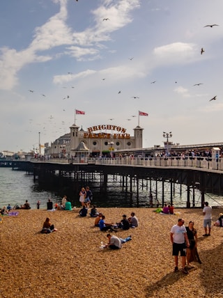 people near seashore viewing sea