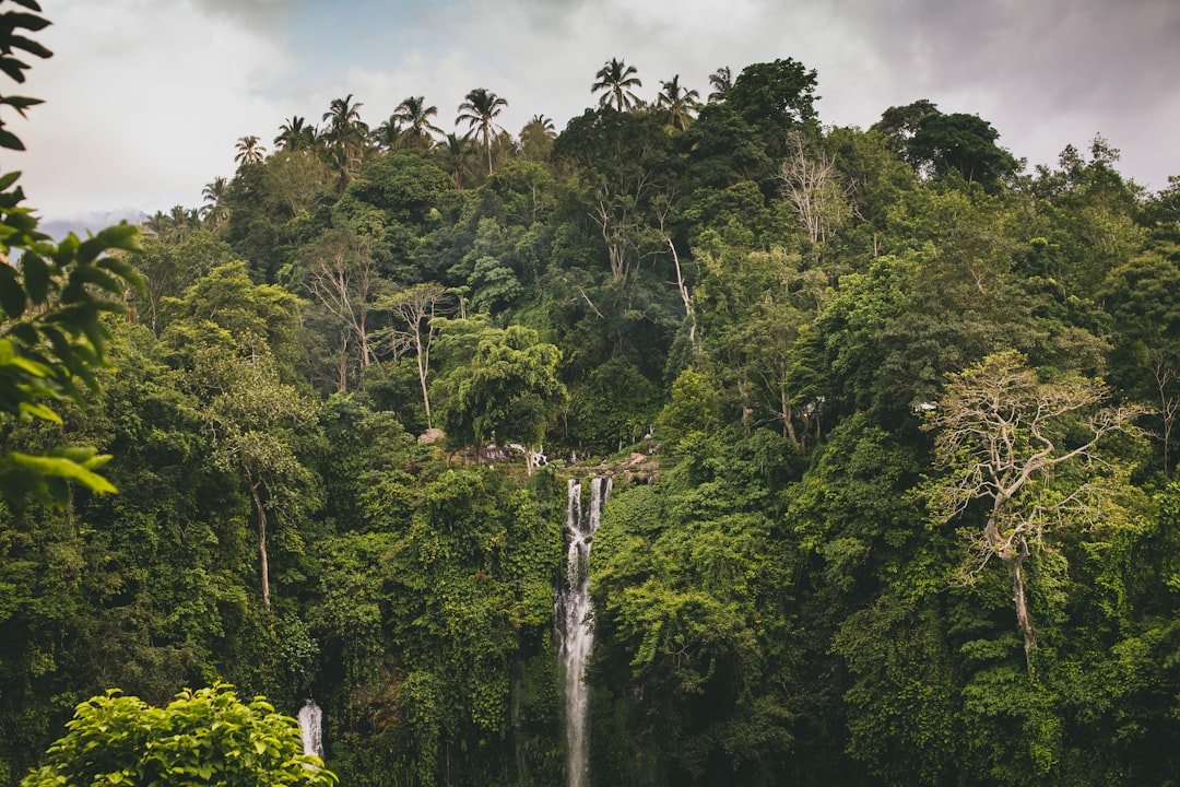 Sekumpul Waterfall spot for road trip in Bali