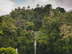 Manado - Tangkoko Naturreservat