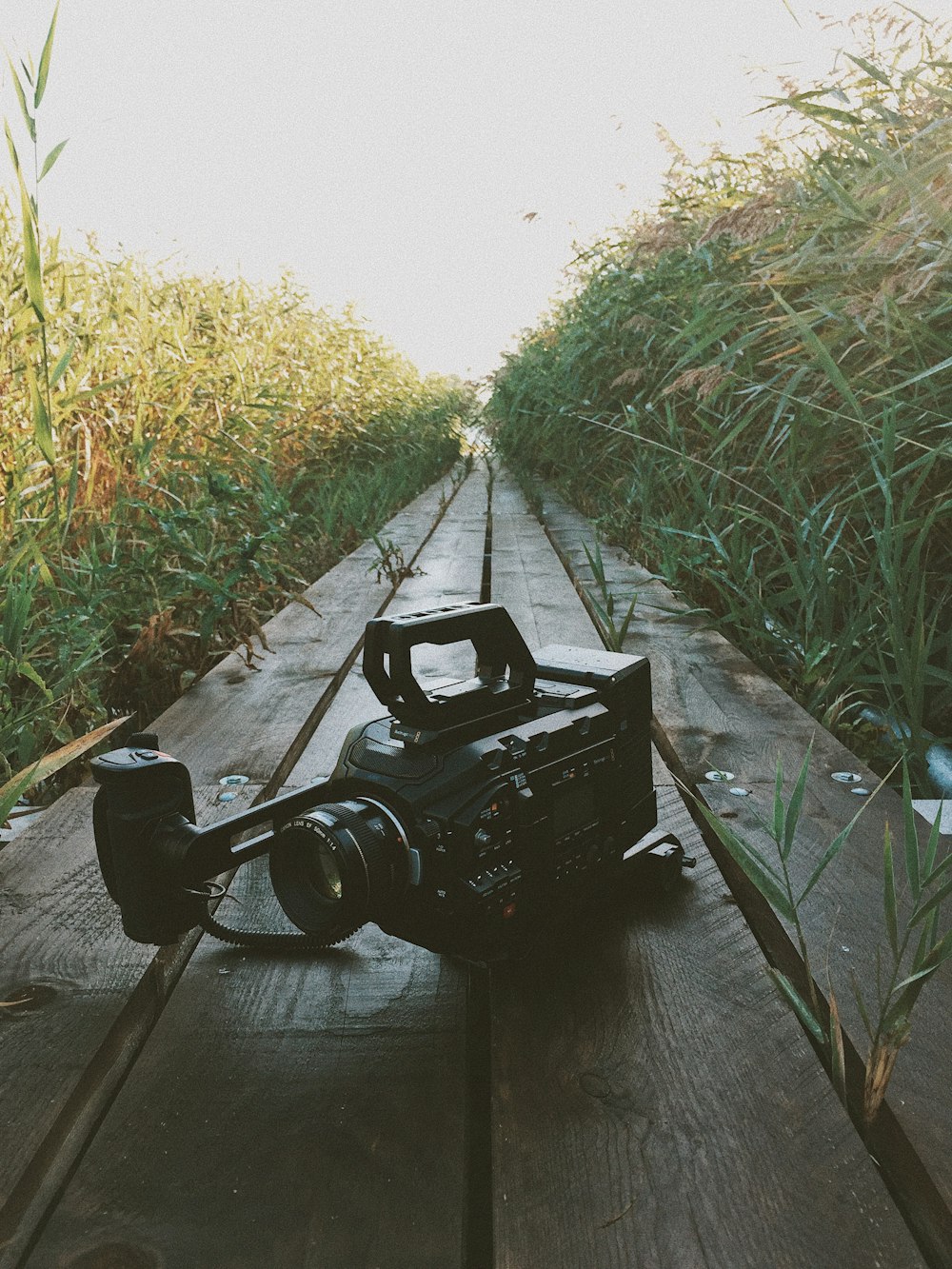 Fotografia de foco seletivo da filmadora preta no caminho de madeira marrom durante o dia