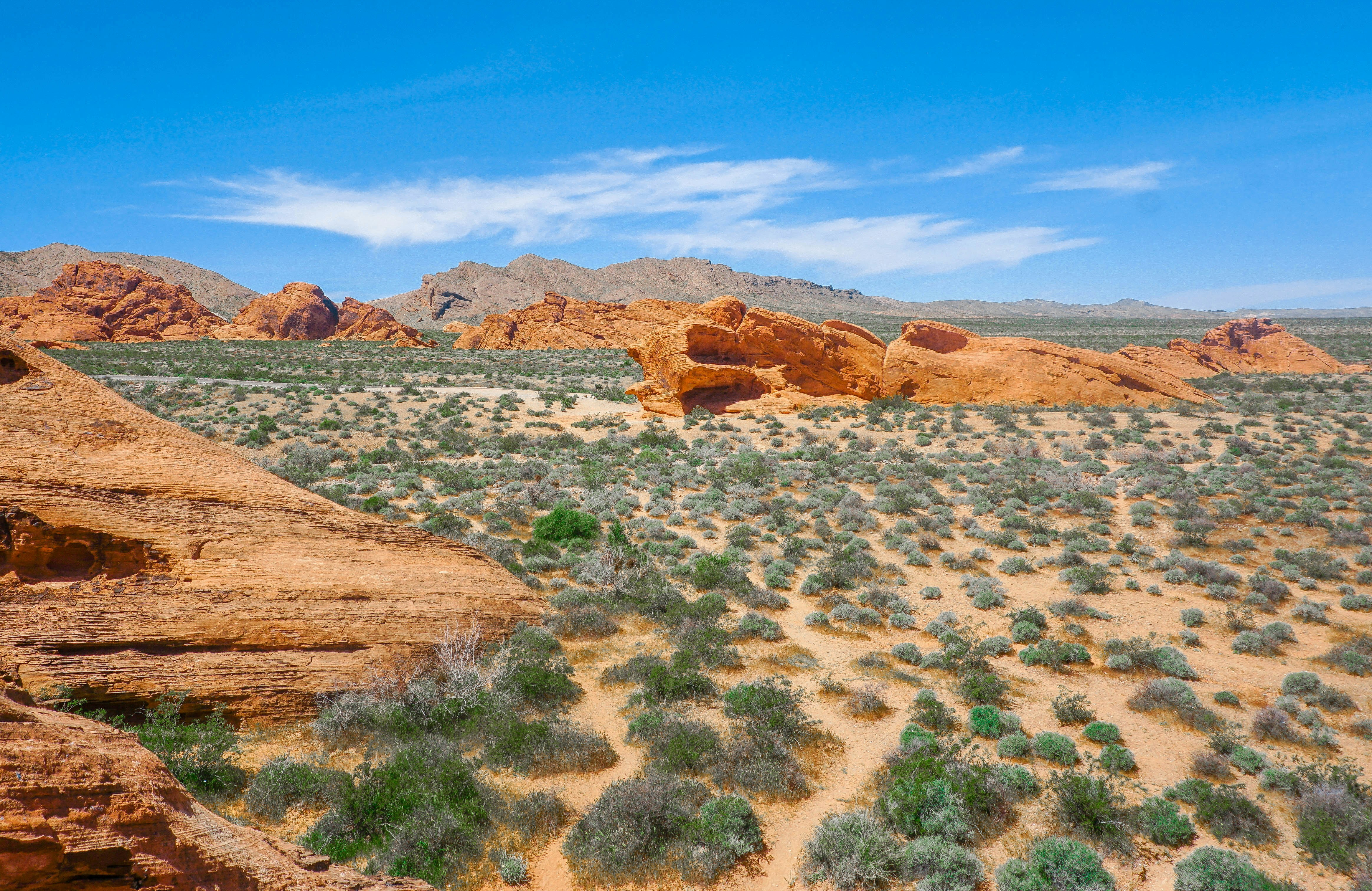 Photo by dashbrowning