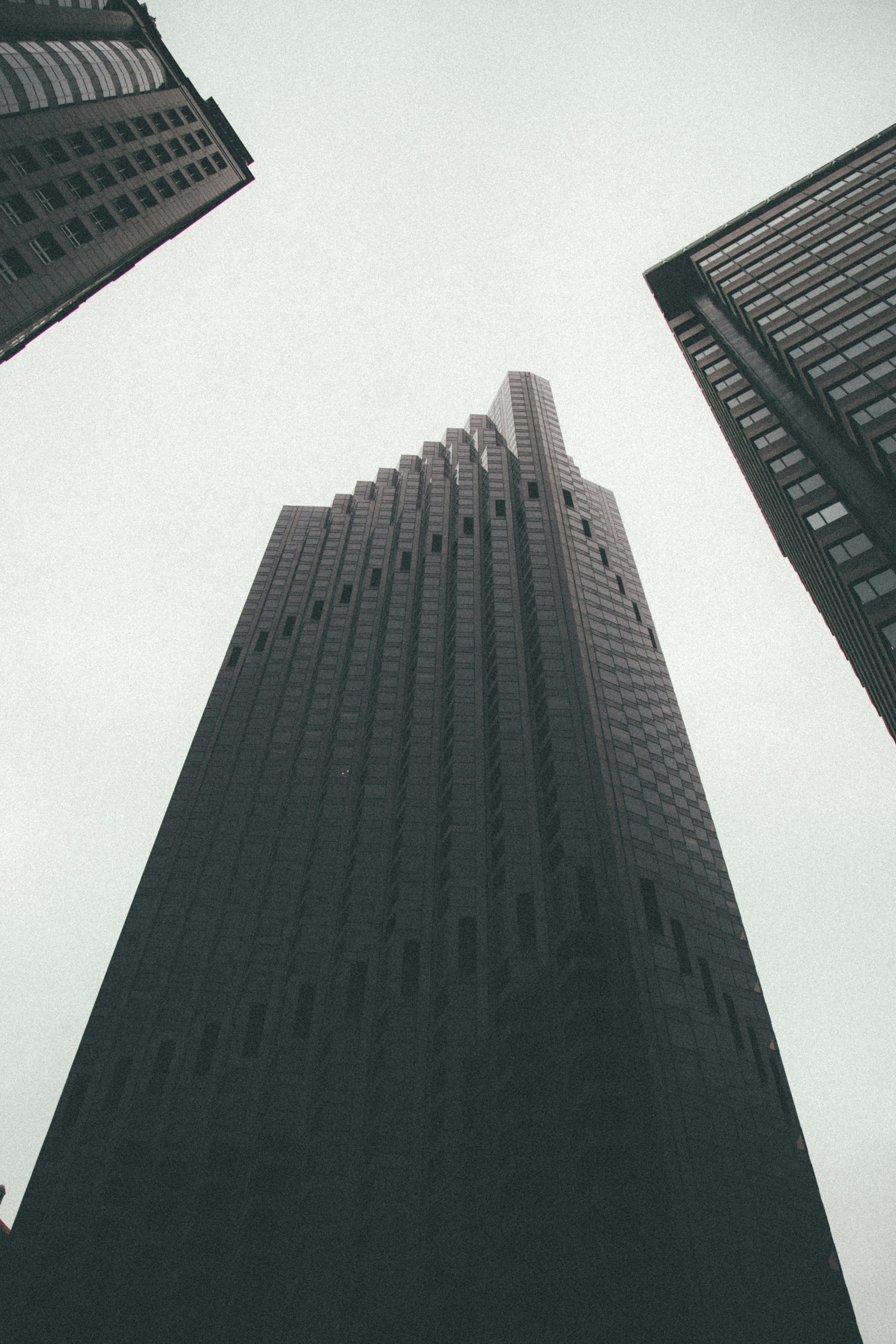 three highrise building low angle photo