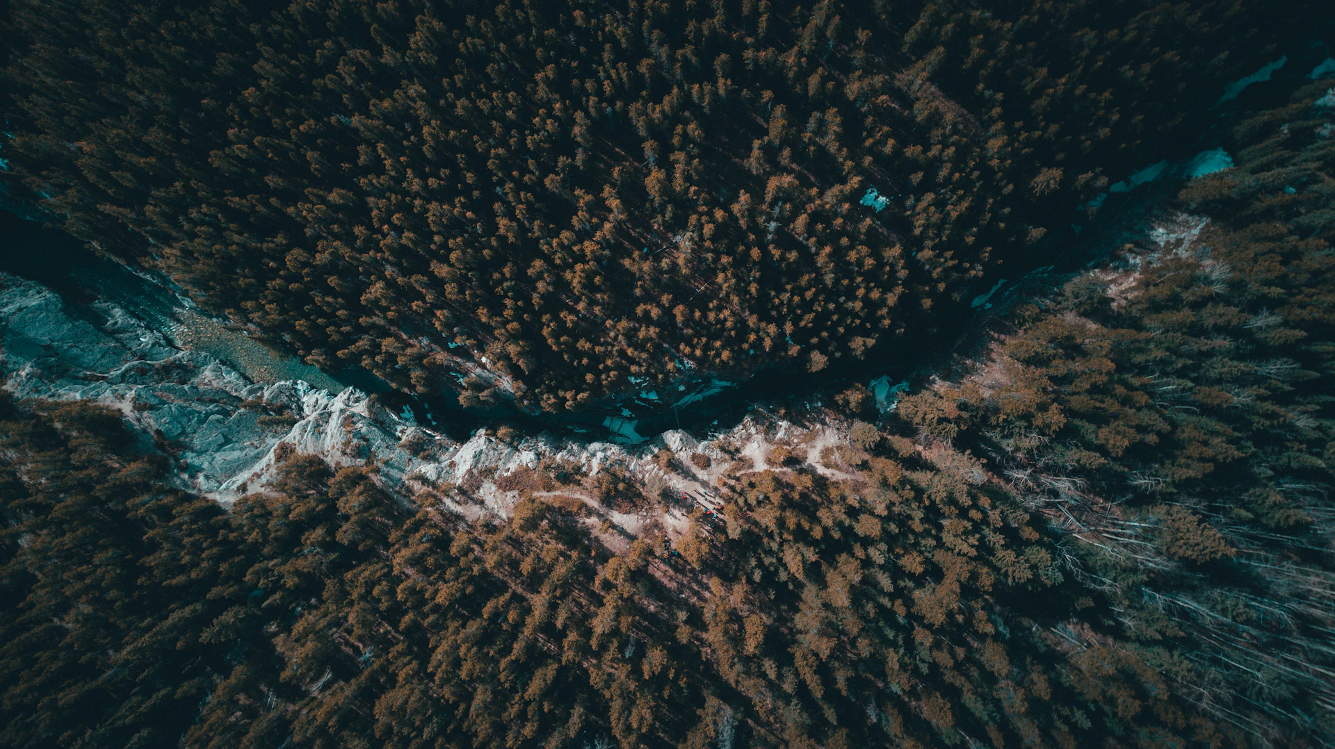A high-resolution aerial photograph showcasing a winding river cutting through a dense forest, highlighting natural spatial patterns.