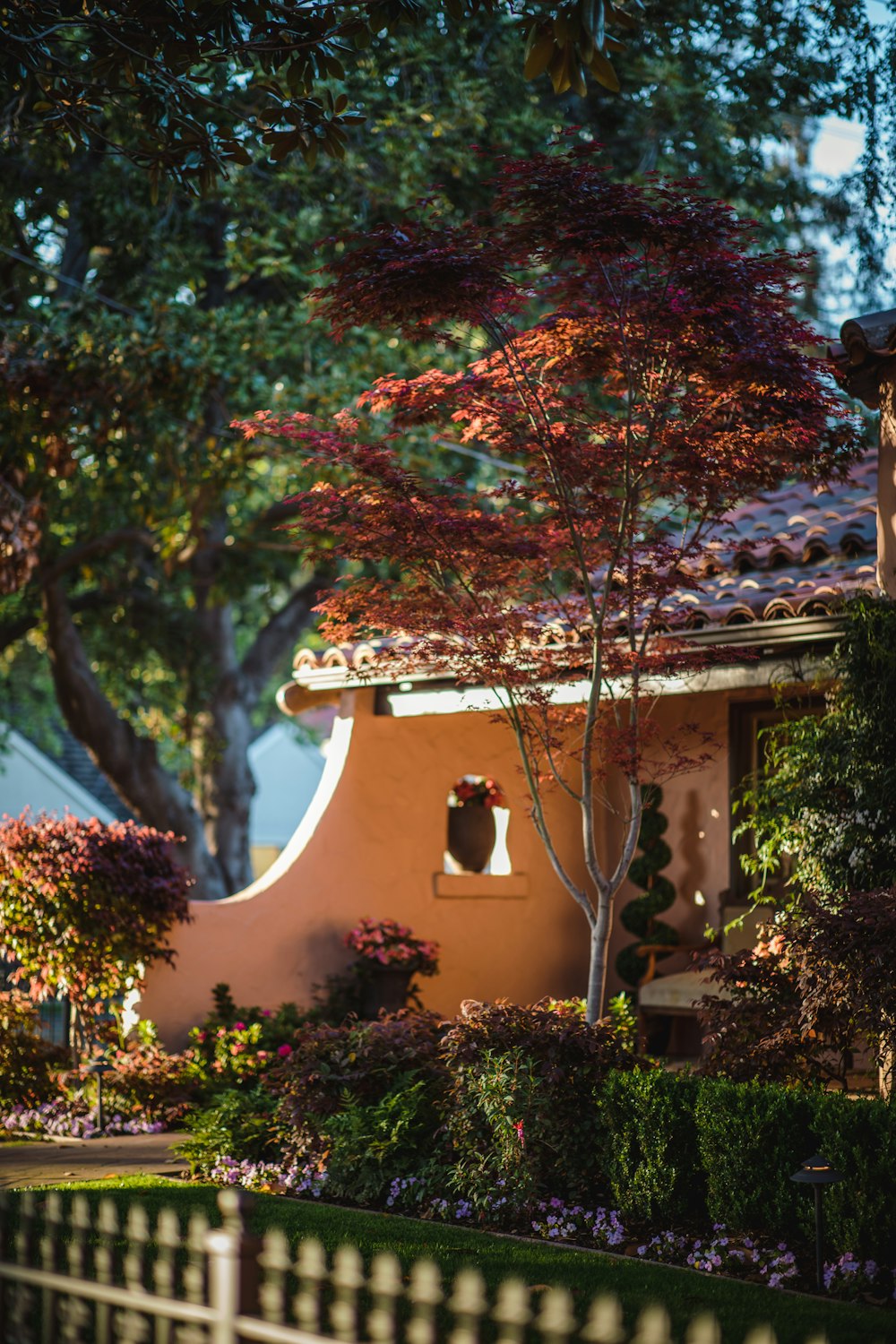 house surrounded of trees