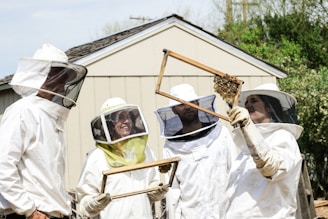 Four people are wearing protective beekeeping suits with veils. They are standing outside near a wooden building, holding hive frames that contain bees. One person is closely inspecting the frame with a focused expression, while the others look on with interest.