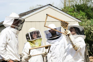 A group of diverse members gathered around a hive, listening attentively to an instructor demonstrating hive inspection.