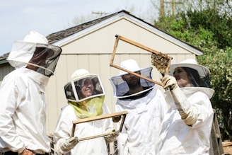 four people in anti-bee bite suit holding honeycomb during daylight