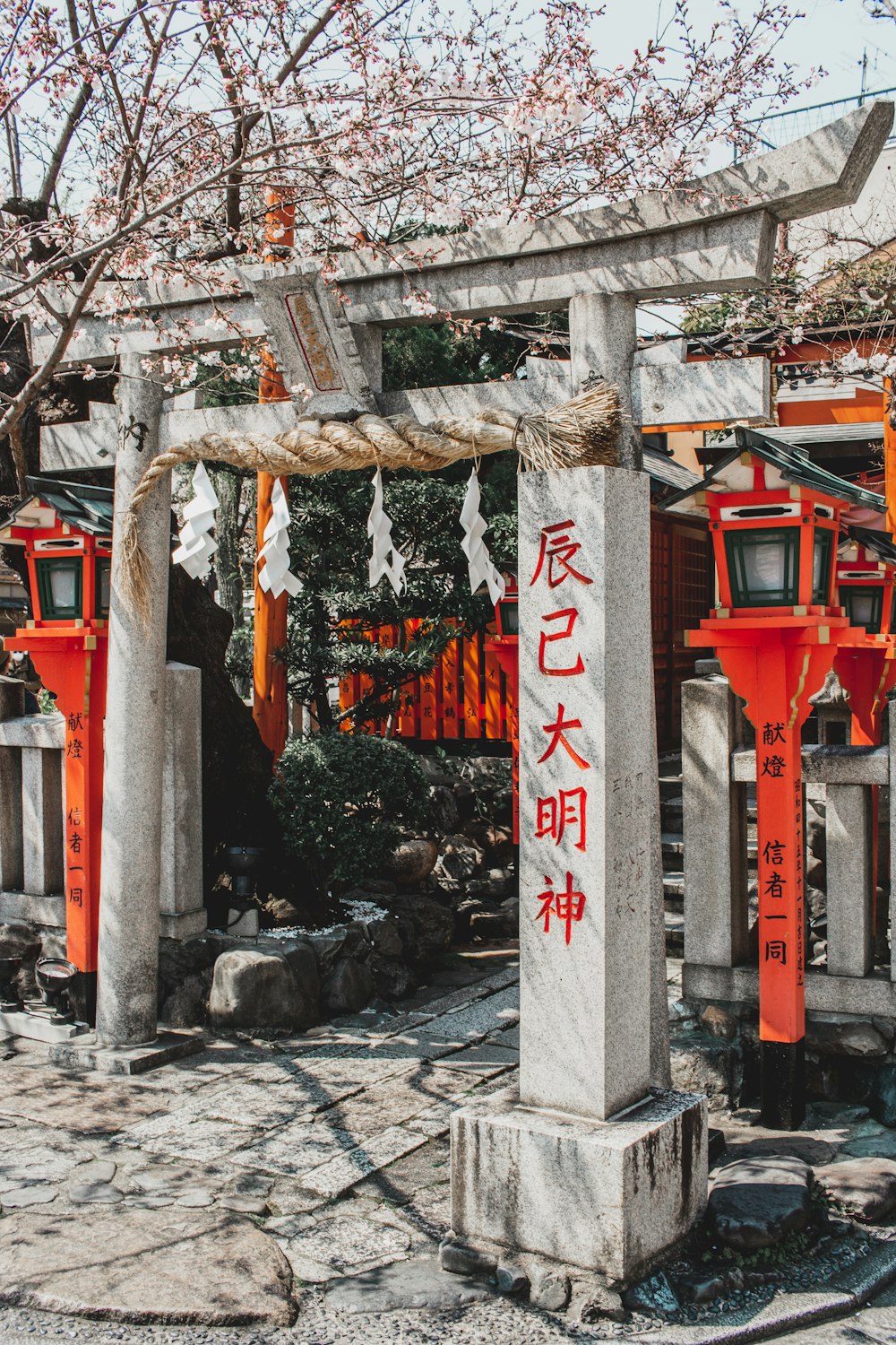 Chinese arch under cherry blossom tree