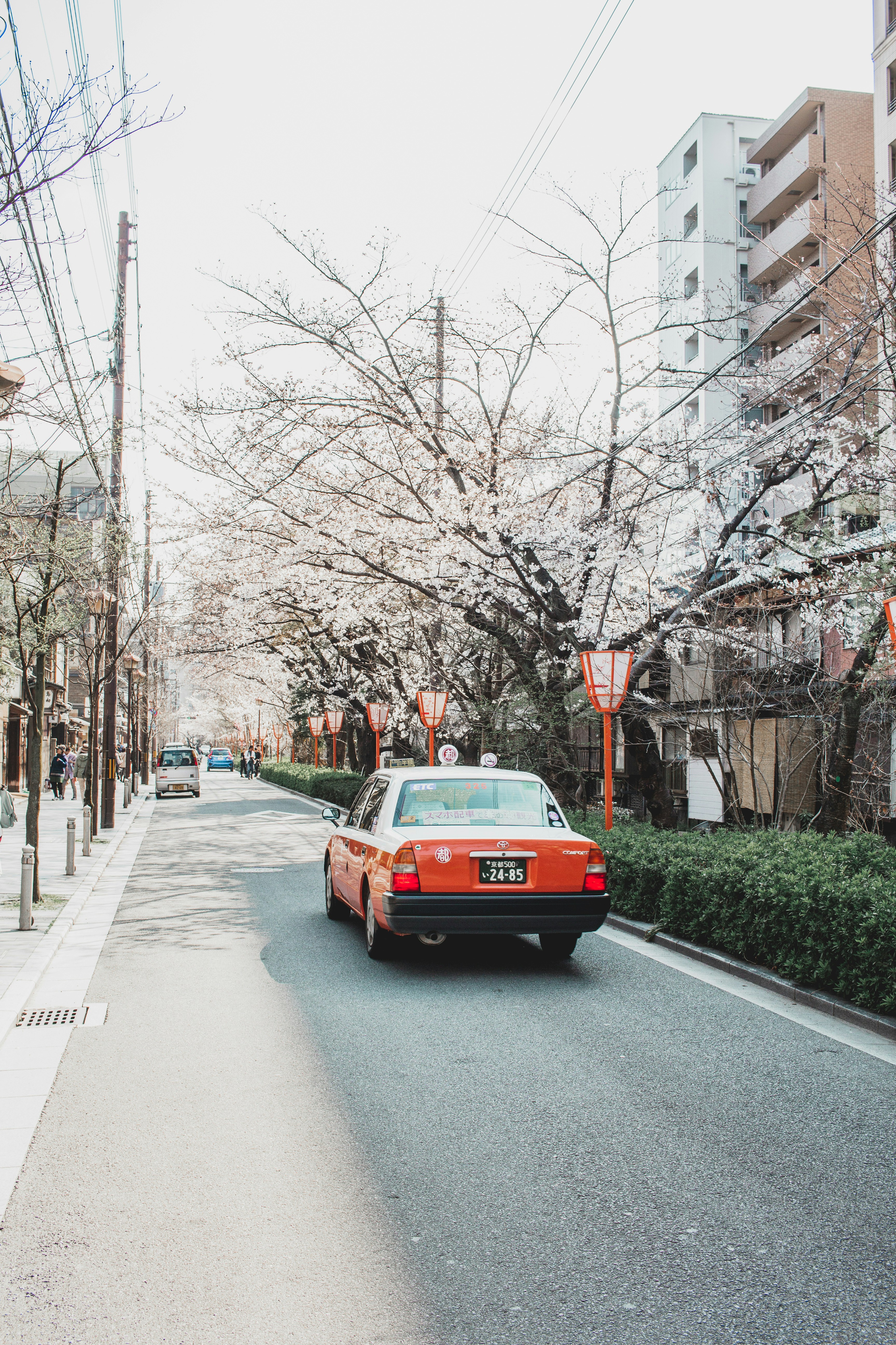 red sedan beside grass covered road island