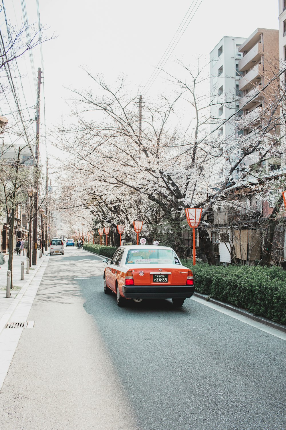 red sedan beside grass covered road island