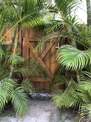 A wooden gate is surrounded by lush green palm leaves, creating a tropical and secluded atmosphere. The gate features a cross-brace design, and a keypad lock is visible on the side.