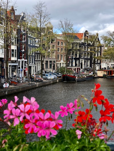 Amsterdam's Canals - From Engelschman Brug, Netherlands