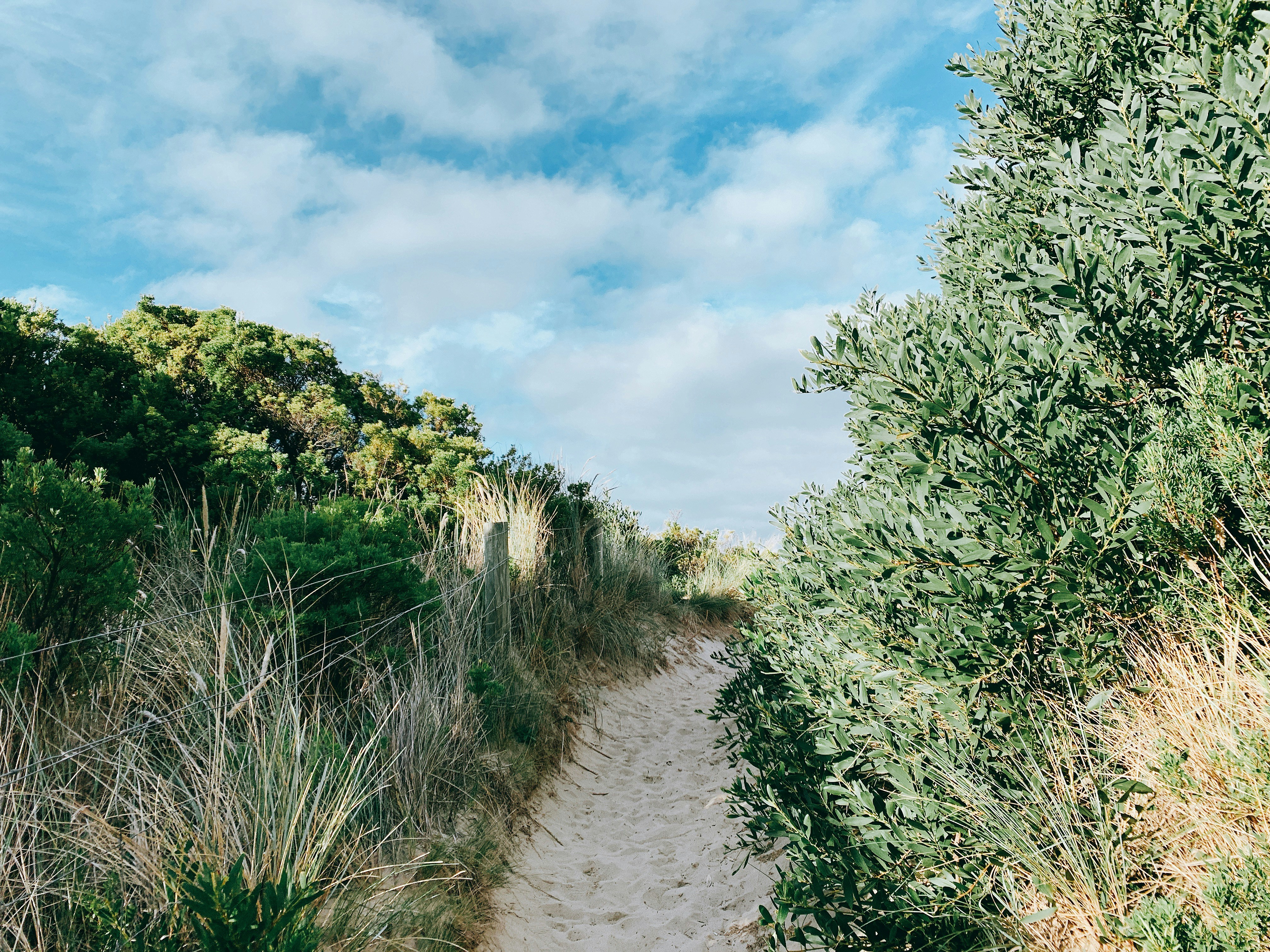 Photo by zoe_august0812