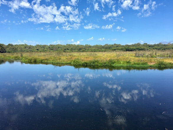 A serene coaching session with a calming background.