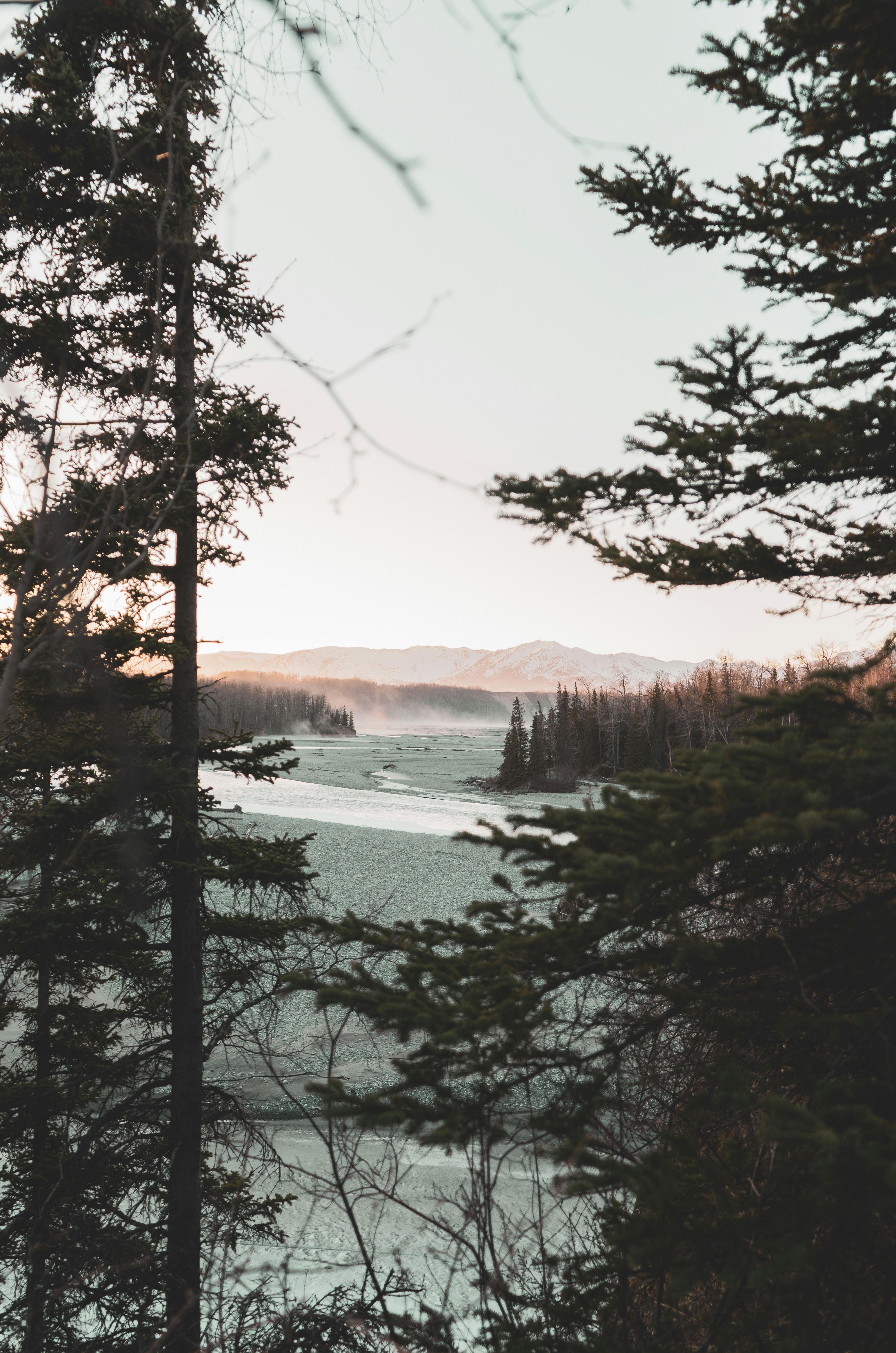 Photo by jaron_mobley