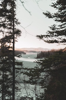 A serene landscape featuring a frozen river winding through a dense forest. In the distance, mountains are visible under a pastel-colored sky. Tall evergreen trees frame the scene, adding depth and framing the icy expanse.