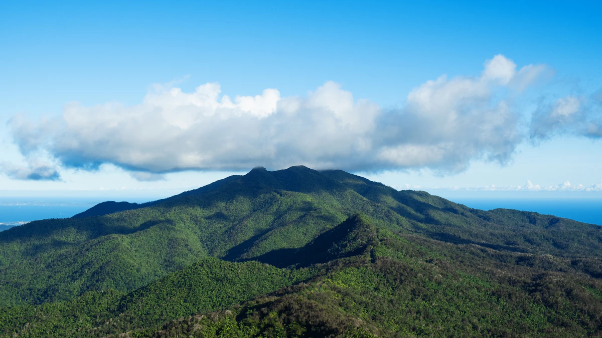 El Yunque rainforest canopy