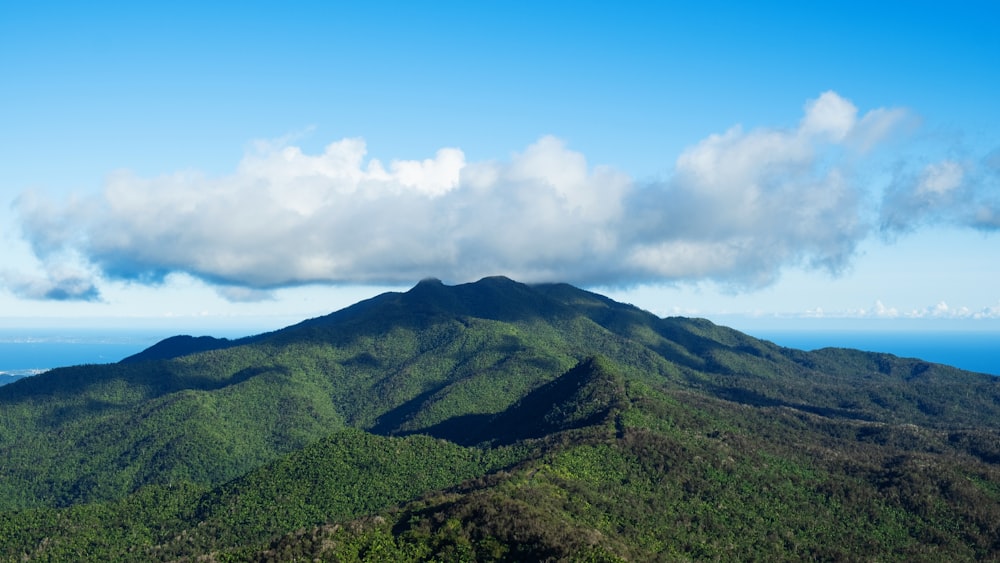 landscape of a mountain