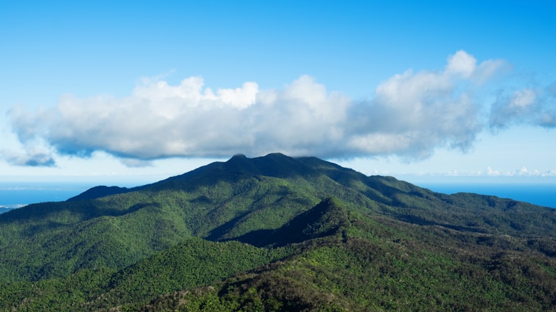 Forested green peaks of El Yunque under a blue sky with a band of white cloud, the ocean visible beyond