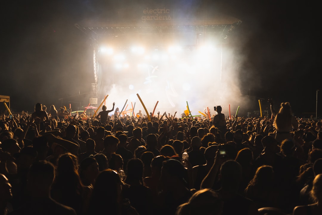 group of people enjoying concerts, Taken during SIGMA