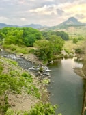 A serene landscape featuring a winding river and trees.