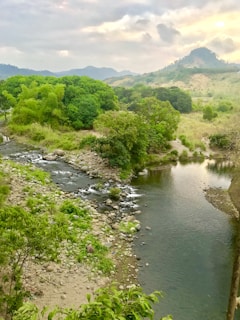 A serene landscape with a winding river and lush greenery.