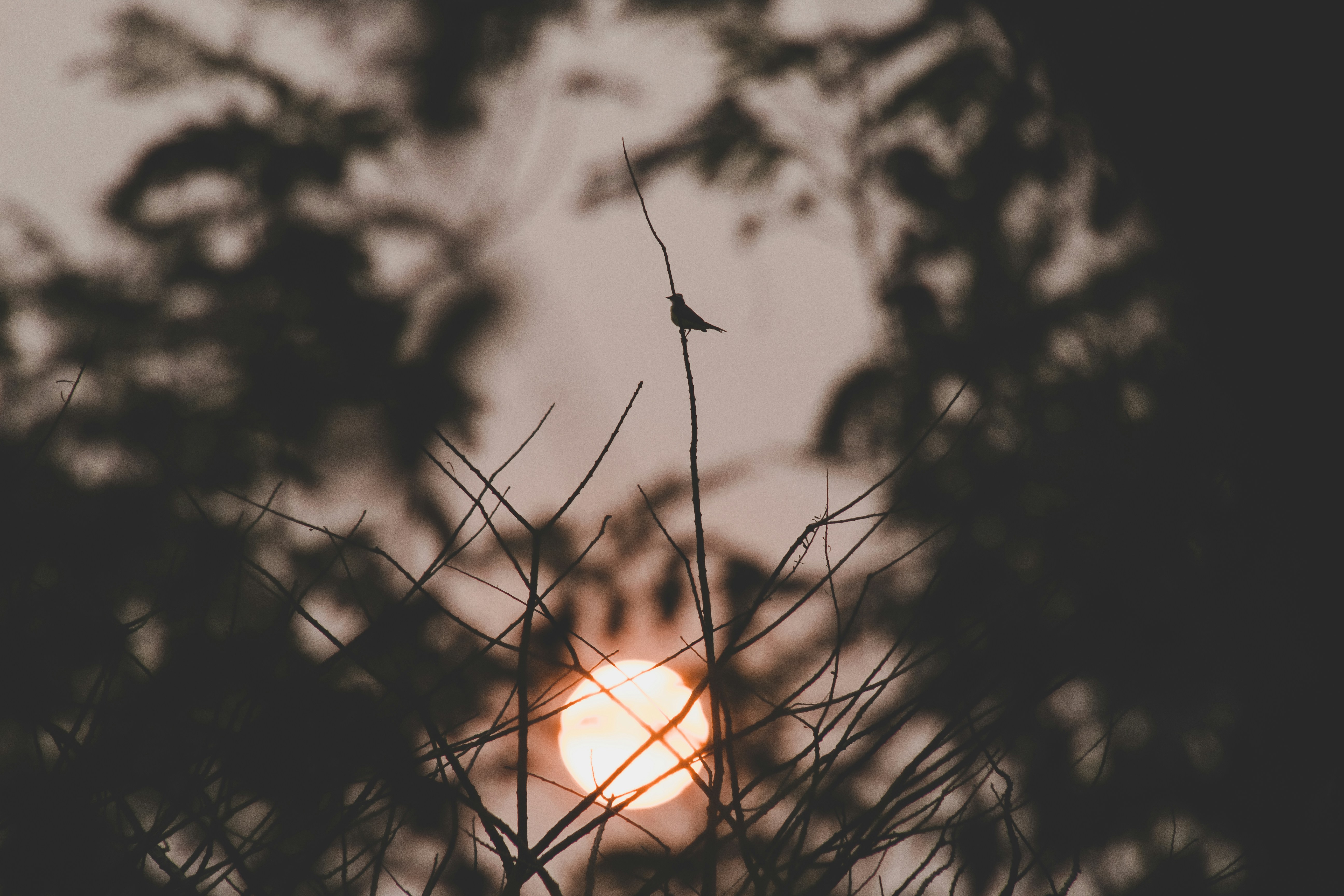 Photo by karinahalley