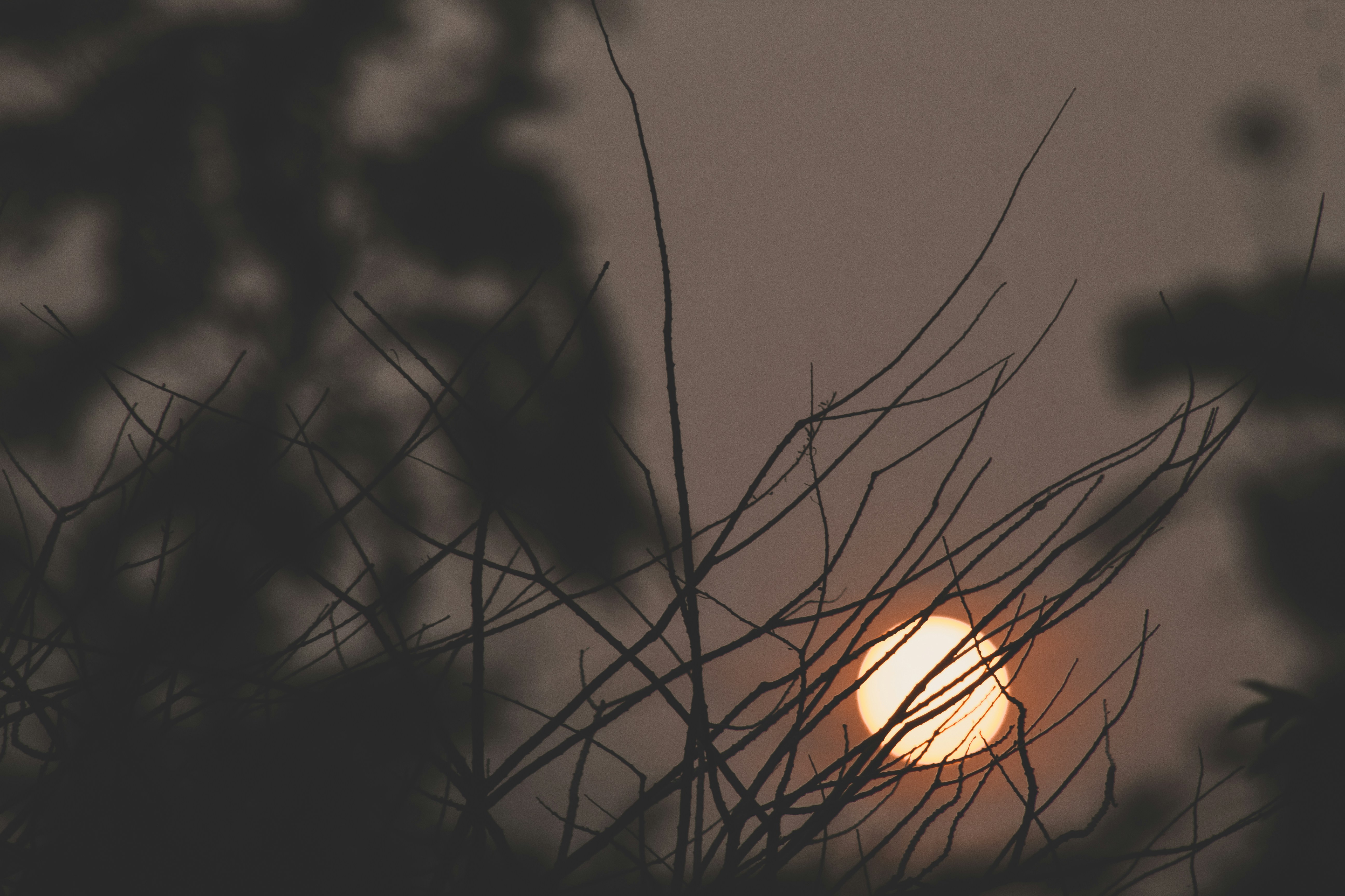 Photo by karinahalley