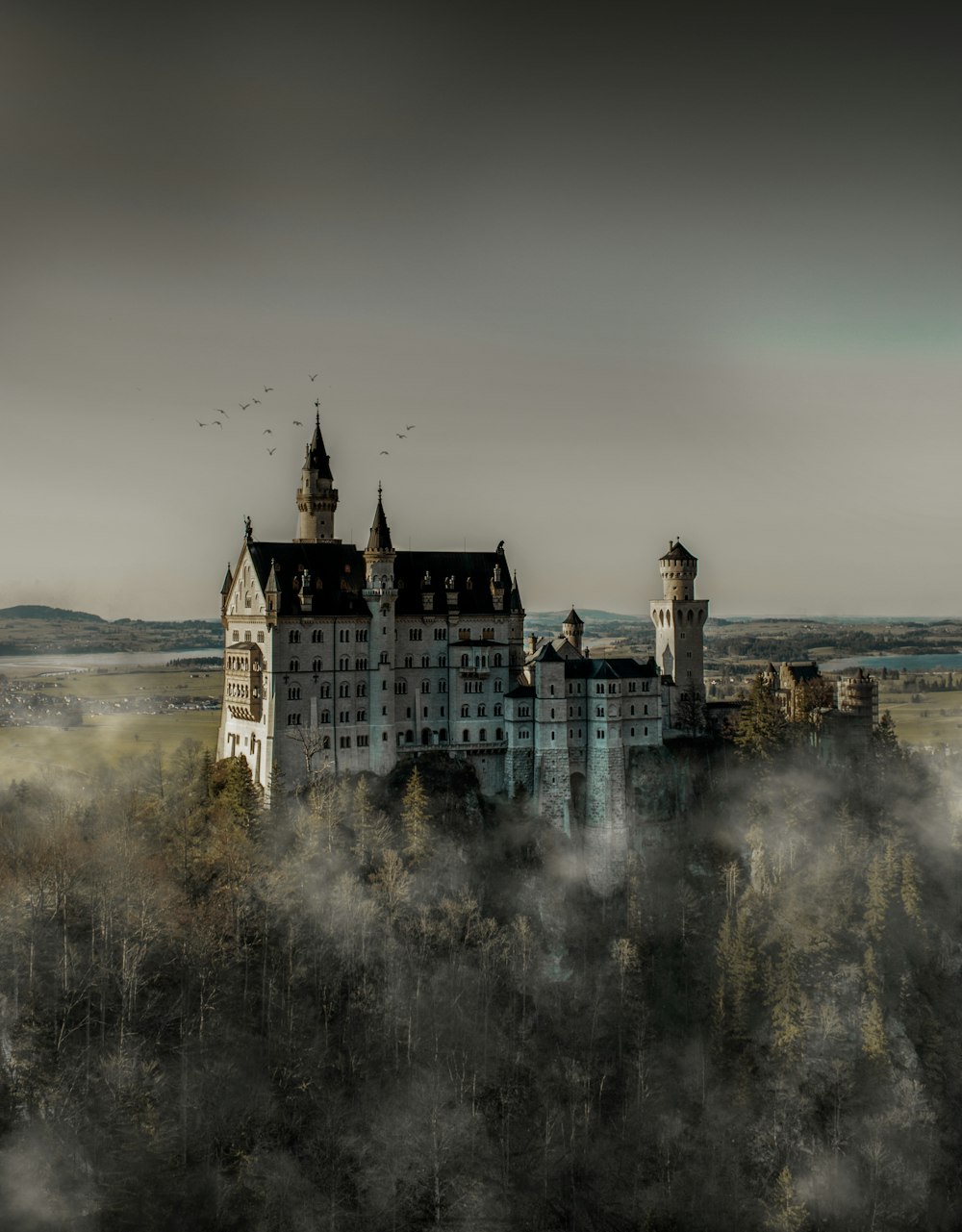 Fotografía en escala de grises del Castillo Blanco durante el día