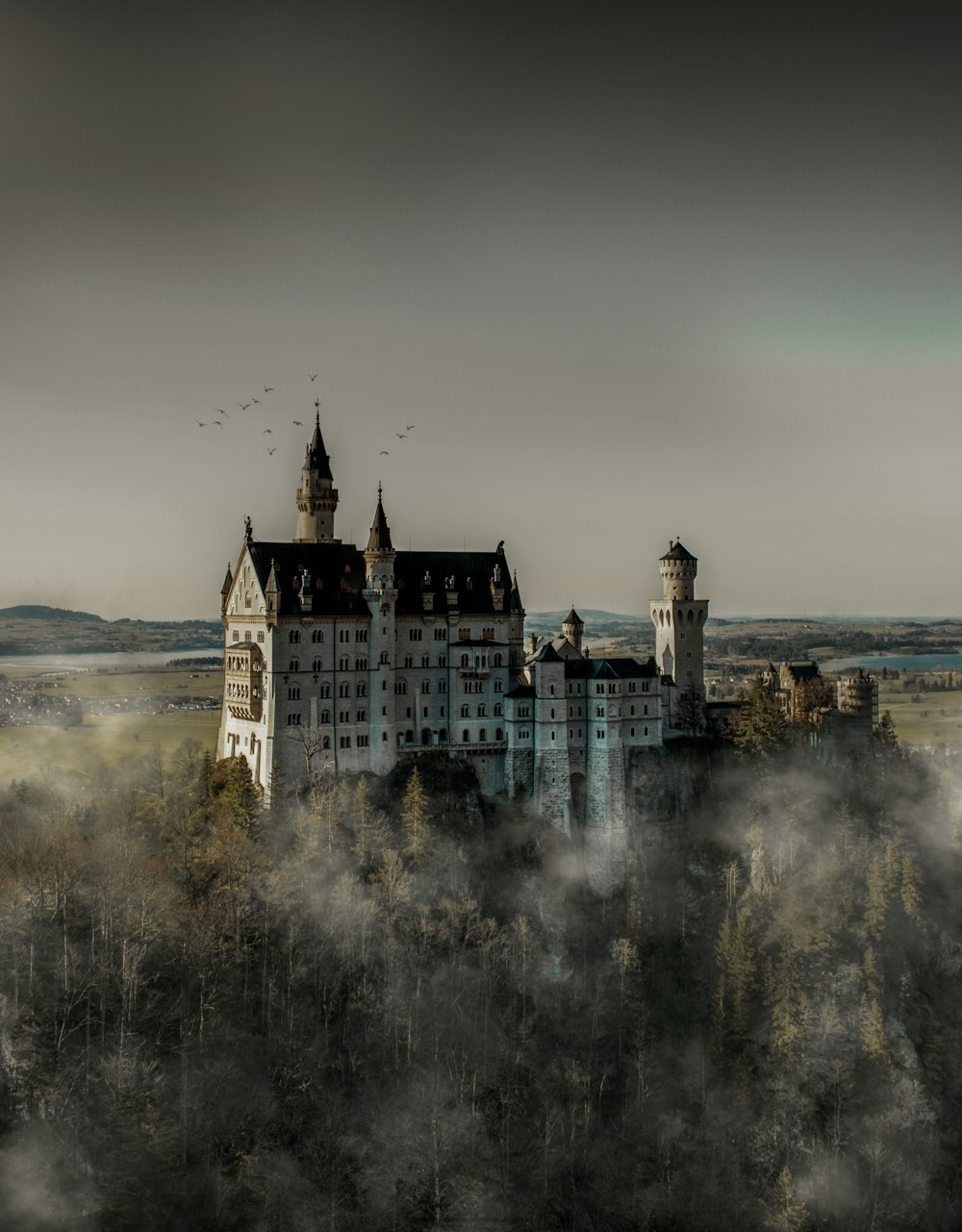 Fotografia in scala di grigi del castello bianco durante il giorno