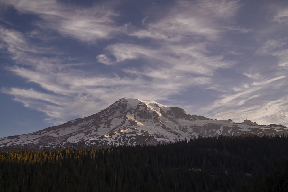 mount rainier, Tacoma dispensary, best summer daycation spots