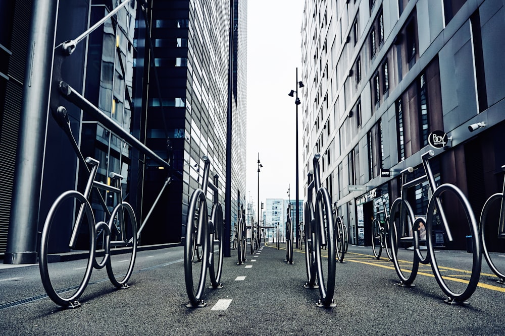 Biciclette nere su strada