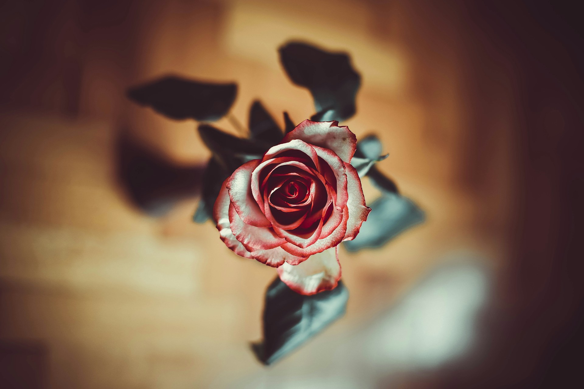 woman wearing yellow long-sleeved dress under white clouds and blue sky during daytime