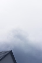 A portion of a roof with dark shingles is visible at the bottom left, set against an overcast sky with thick, gray clouds.