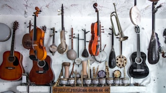 assorted-color guitar lot