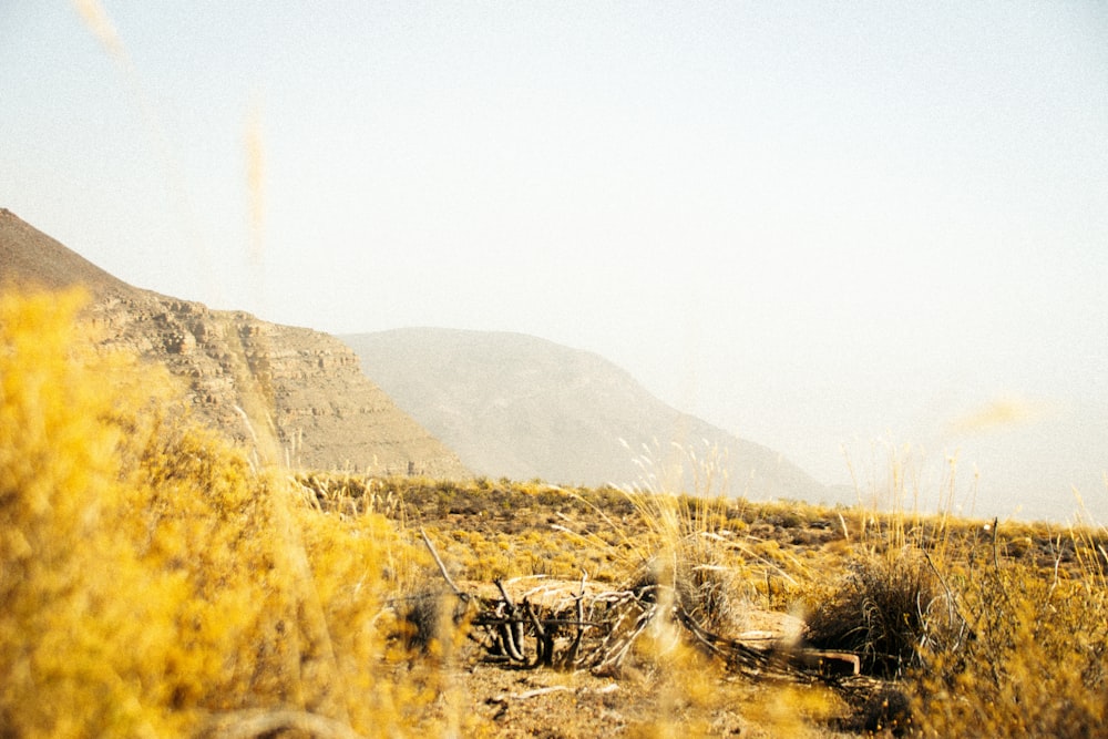 mountain at daytime