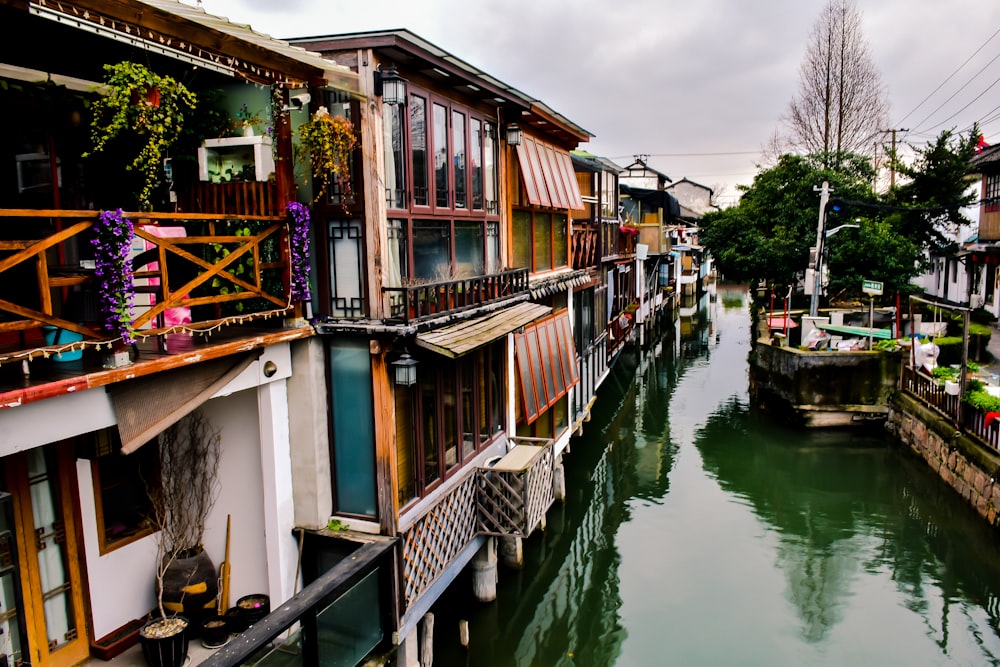 houses near body of water