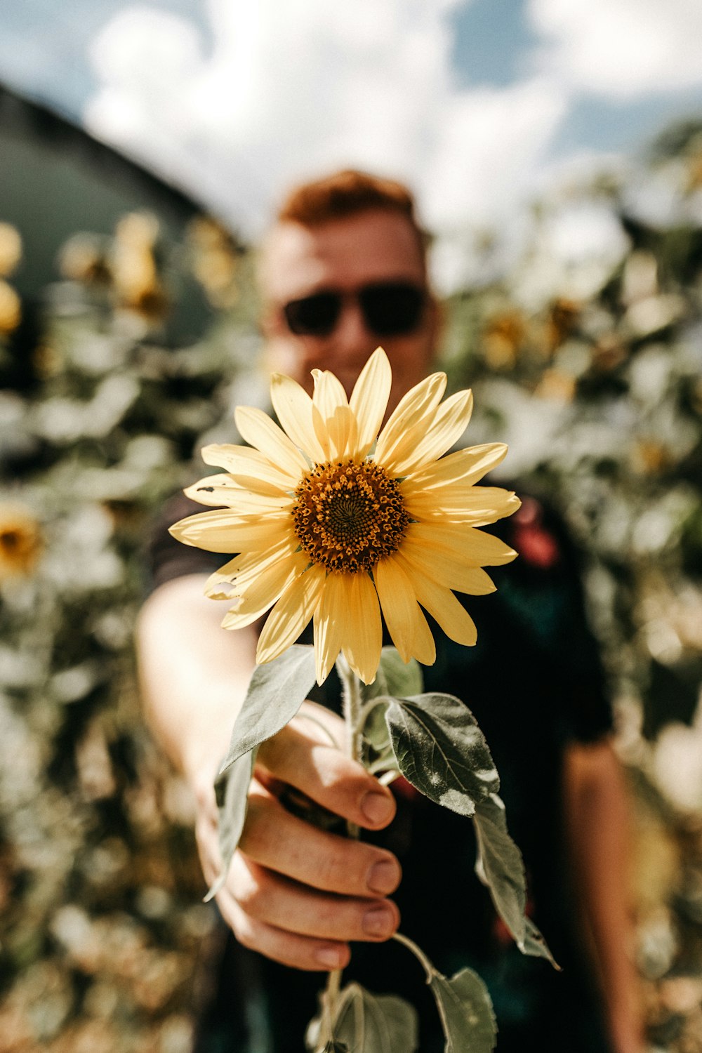 hombre sonriente de pie y mostrando girasol amarillo