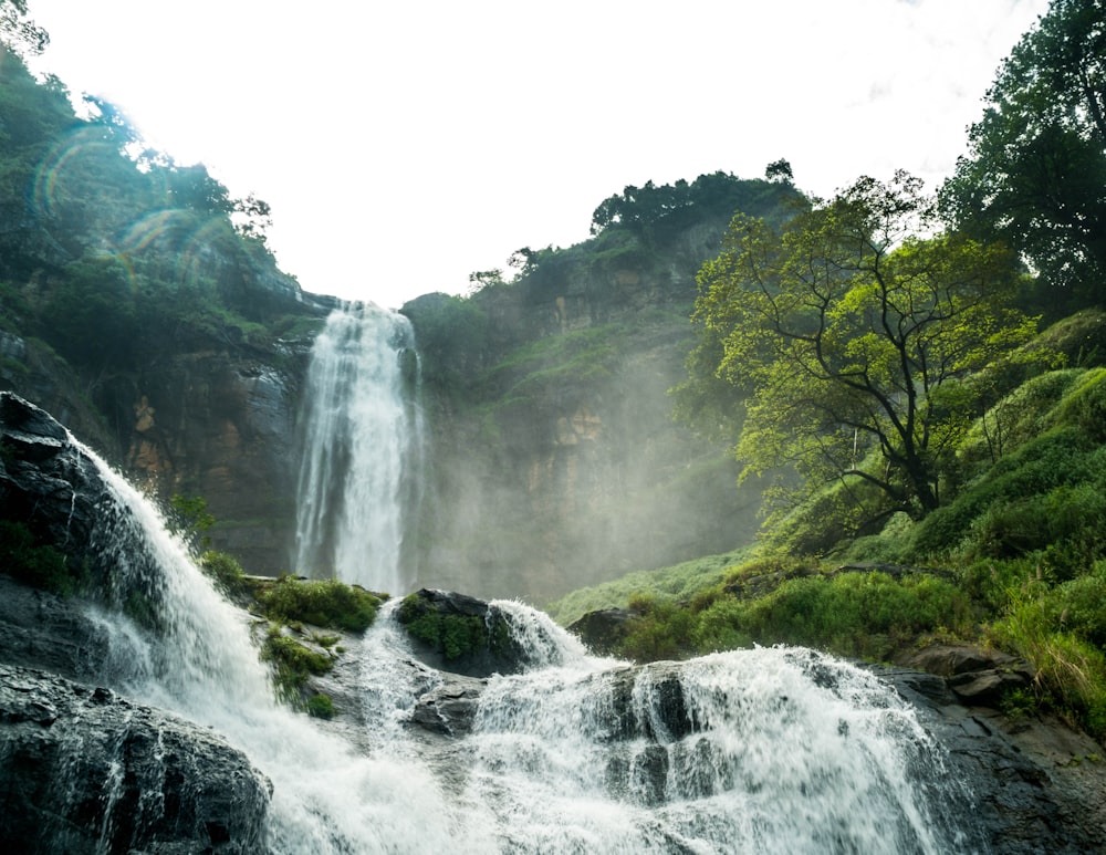 Grüne Bäume am Wasserfall während des Tages