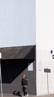 A person walks a small dog along a city sidewalk beside a minimalist building with contrasting large flat surfaces in light and dark hues. Signs are posted on the wall, casting distinct shadows in the midday sun.