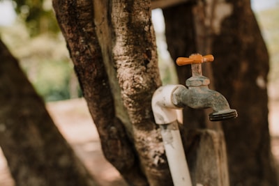A weathered outdoor water tap with an orange handle is mounted on a white pipe against a blurred background of tree bark and foliage.