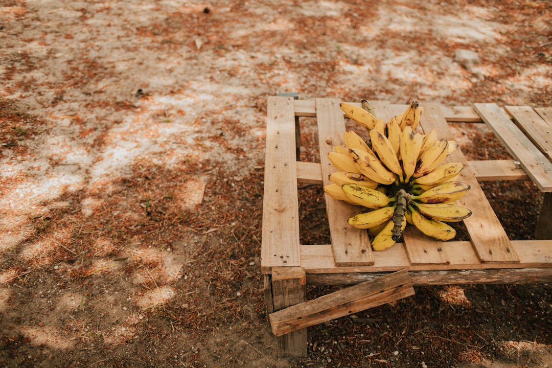 yellow banana fruit