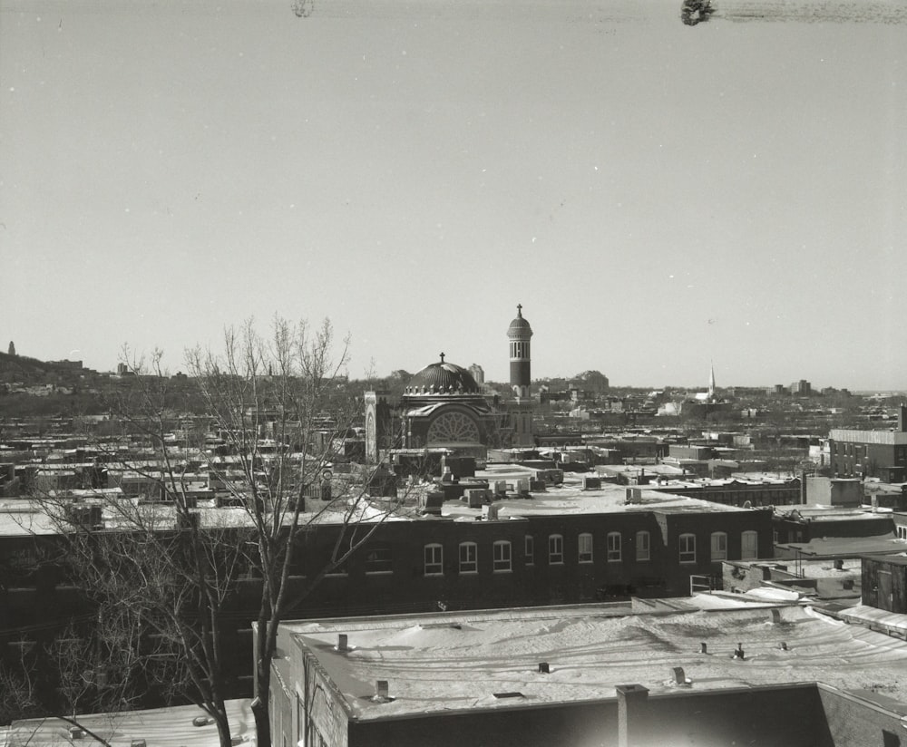 grayscale photography of dome building